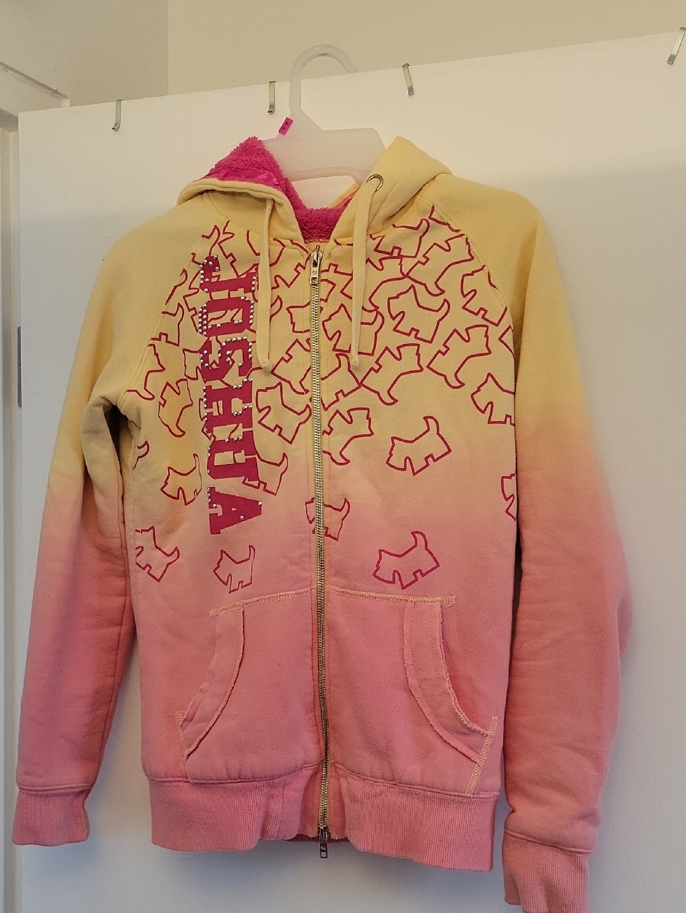 Joshua Perets Vintage Hoodie